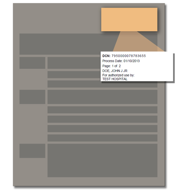 Screenshot Image of Report Heading